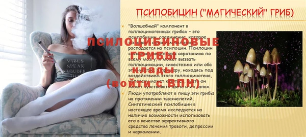 кокс Абдулино